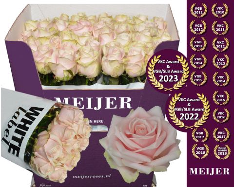 <h4>R Gr Sweet Avalanche Meijer White 80 cm</h4>