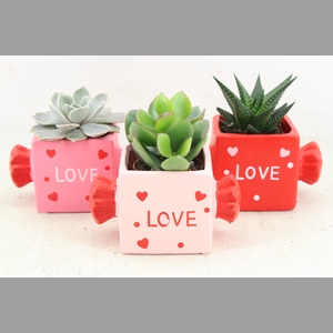 arr3 Demi - Ker. candy mix x8