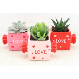 arr3 Demi - Ker. candy mix x8