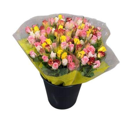 <h4>R Gr Rainbow Mix</h4>