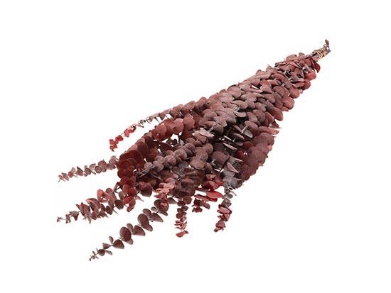 Bunch Euca Baby Pres.150g