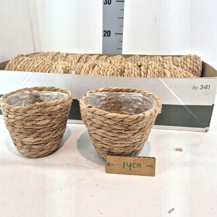 <h4>Mandwerk H12 D14 Seagrass</h4>