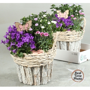 ARR TUINPLANTEN