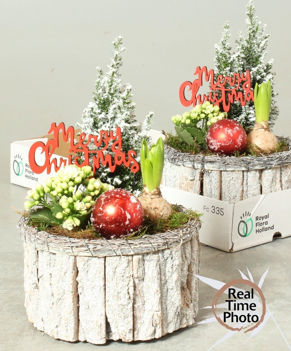 <h4>ARR KAMERPL</h4>