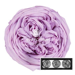 Kabukyza Per 3 Vio03