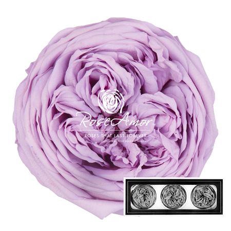 <h4>Kabukyza Per 3 Vio03</h4>