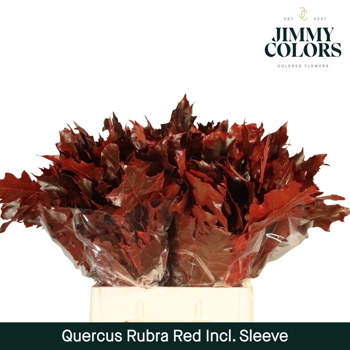 <h4>Quercus Rubra Sleeve L60 Rood</h4>
