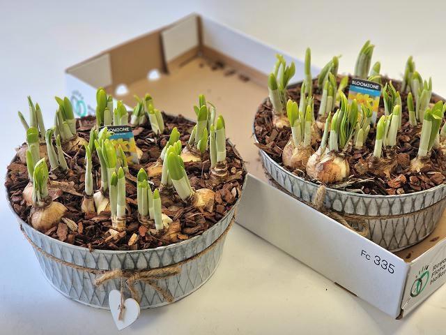 <h4>ARR N TETE A TETE</h4>