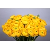 Ranunculus Clooney Omega Extra