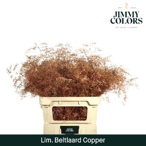Lim Bel L90 Metallic copper
