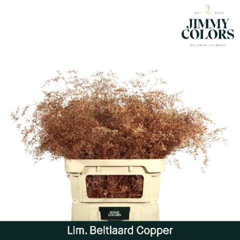 <h4>Lim Bel L90 Metallic copper</h4>