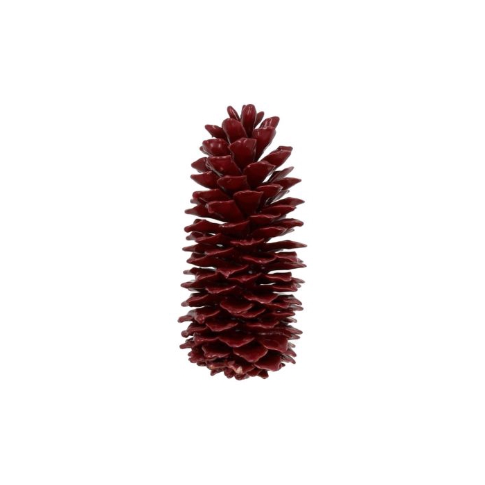 <h4>Pinecone Sugar Wax Slv L35</h4>