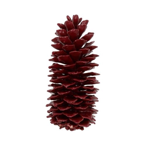 Pinecone Sugar Wax Slv L35