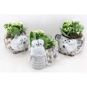 arr2 TD - Dierenmix - roze/wit