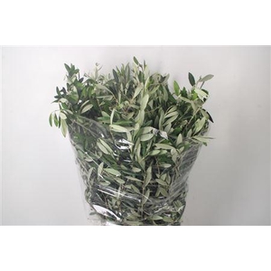 Olijf Per Bunch 200 Gram