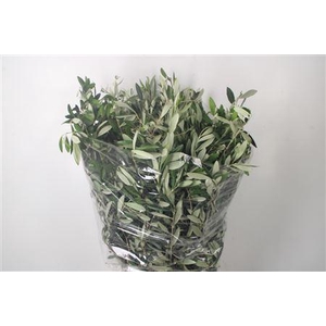 Olijf Per Bunch 400 Gram