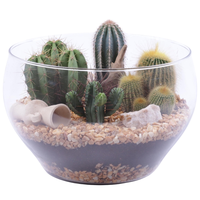 <h4>Yearround Arr. Cactus Glass Bowl Rounded Ø25cm 4PP</h4>