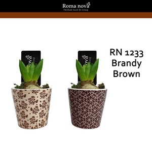 Hya Rom 1233 Brandy Brown (