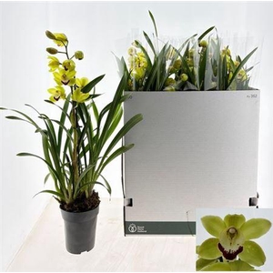 Cymb Overig 1 Branche