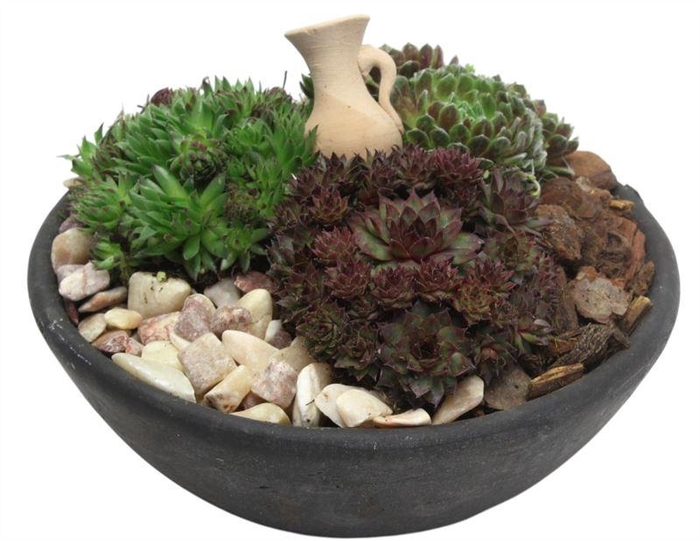 <h4>4431 EBBI SEMP X2</h4>