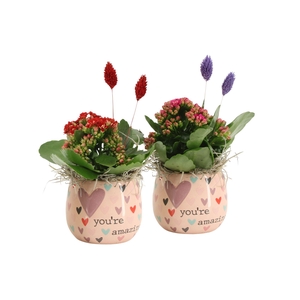 21583: Lovess arrangement