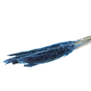 Bunch Fluffy Pampas Slv 70g L70