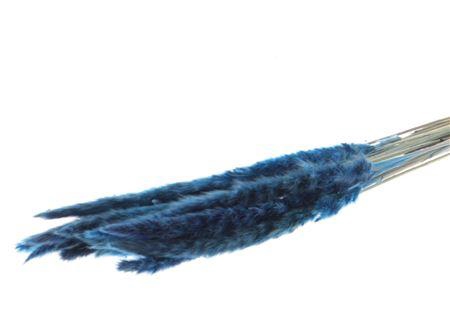 Bunch Fluffy Pampas Slv 70g L70