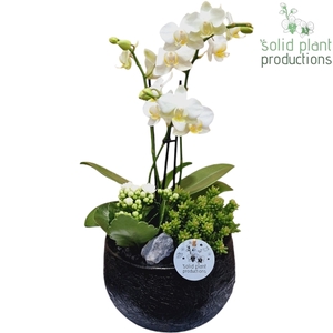 PH036 Esra Small Black