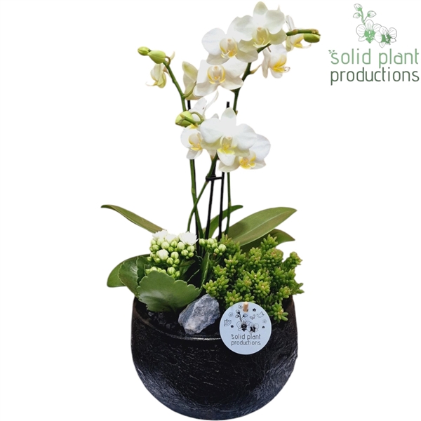 PH036 Esra Small Black