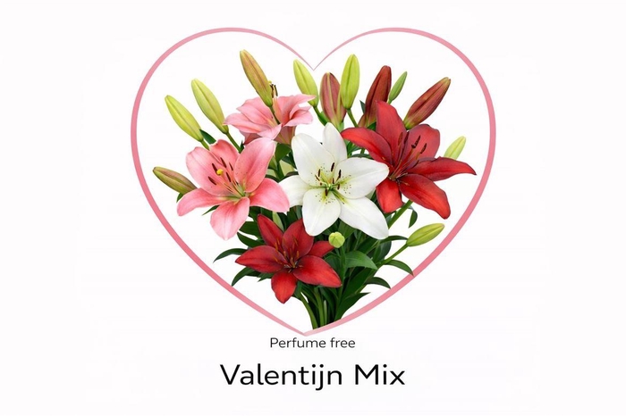 <h4>Li La Valetijn Mix</h4>