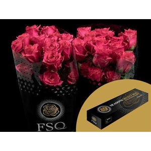 R Gr Hot Explorer Box