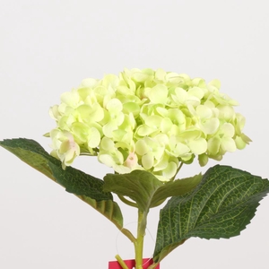 AF Hydrangea L50cm green