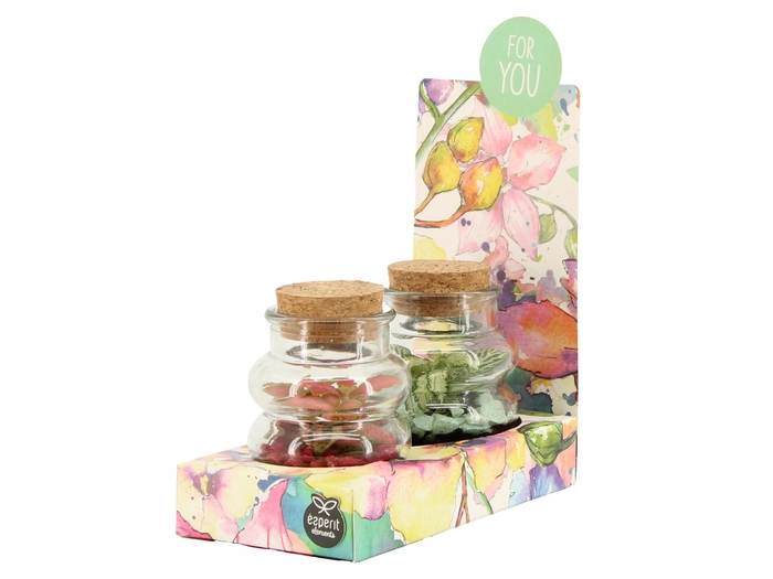 <h4>90831: Terrarium arrangement</h4>