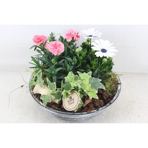 arr4 Outdoor PL - Zink antiek L