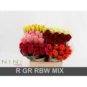 Rosa large mix in bucket