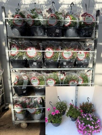 <h4>PERKPL MIXK</h4>