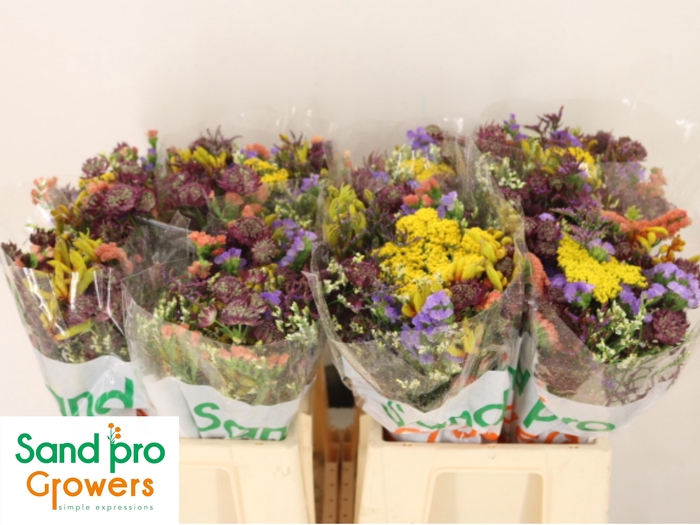 <h4>GEM ZOMERBOEKET</h4>