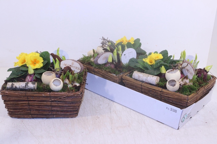 <h4>ARR TUINPLANTEN</h4>