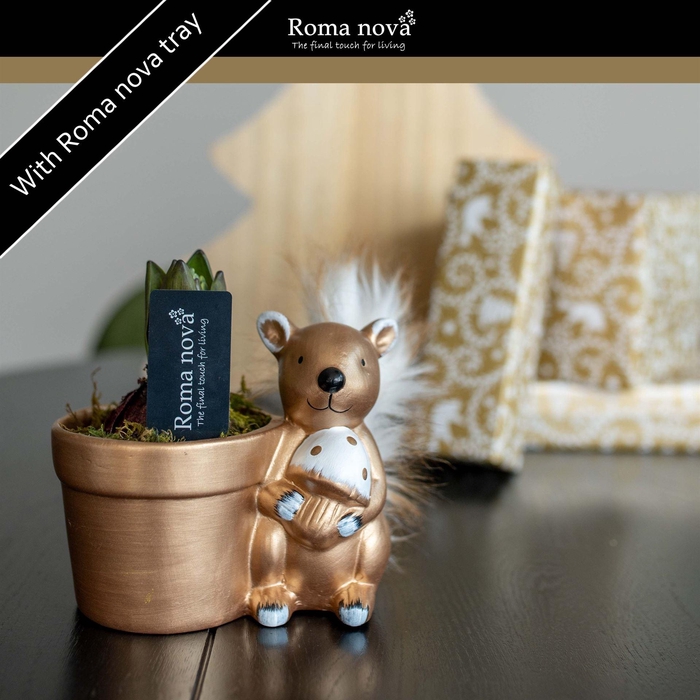 <h4>Arr.  Hyacinthus L%</h4>