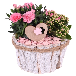 Mothersday Arr. Outdoor Wooden Barkpot White Ø17cm 2PP