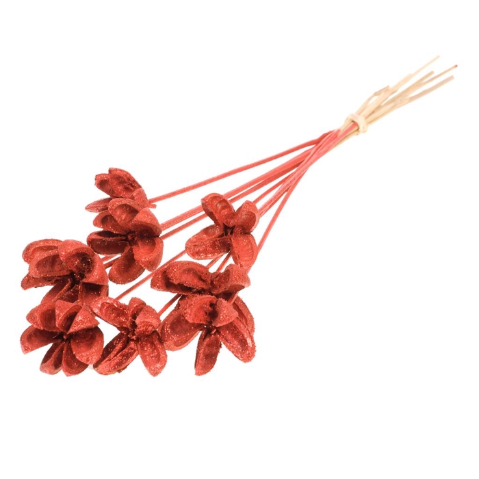 <h4>Cartoos Fl O/s 10pc R/rg</h4>