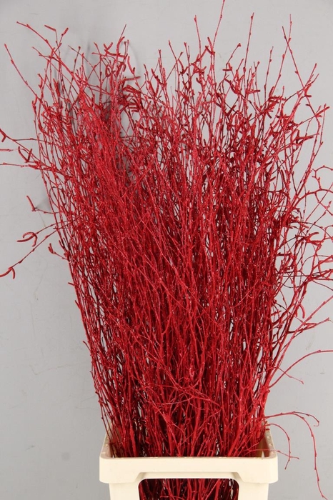 <h4>Betula Bs Paint Red</h4>