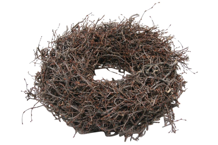 <h4>Wr Bonsai Wildly 60cm Natural</h4>