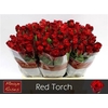 R Gr Red Torch