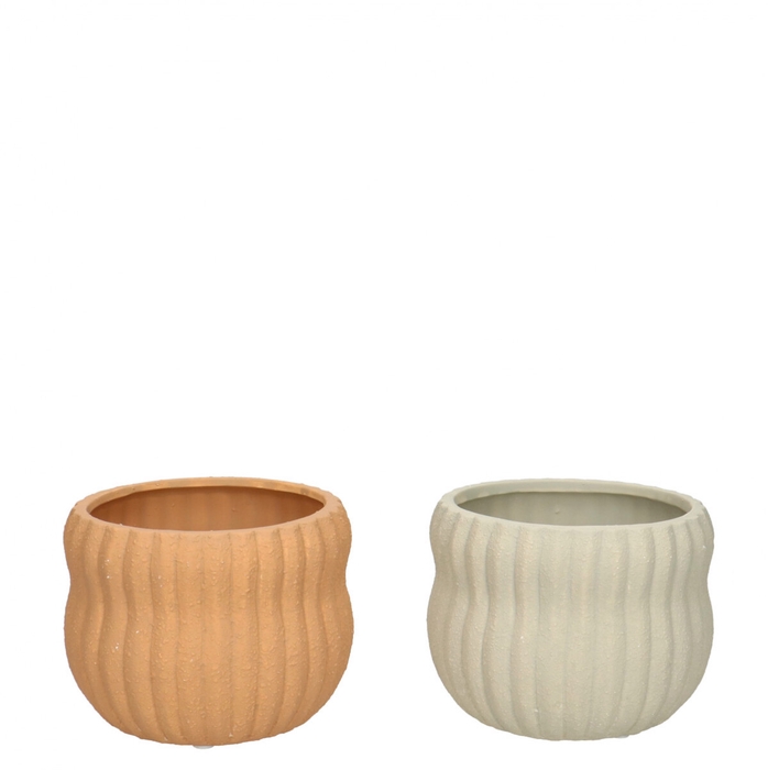 <h4>Promo Vanade pot d11*8.5cm</h4>