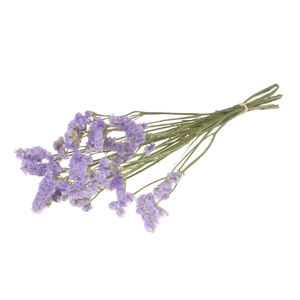 Statice Sinuata Natural Lilac