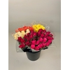 Bq Mono Roses 4,0cm+ 10-er mix