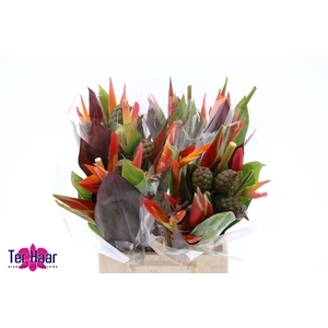 HELICONIA BOEKET