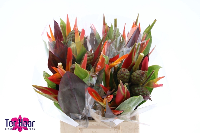 <h4>HELICONIA BOEKET</h4>