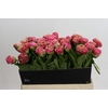 Paeonia Carnation Bouquet